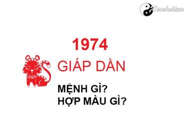 Năm 1974 là năm con gì? Sinh năm 1974 là mệnh gì? Tuổi gì?