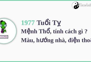 Sinh năm 1977 mệnh gì? Tài lộc - Tử vi - Phong thủy đầy đủ