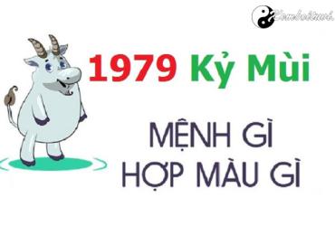 Sinh năm 1979 mệnh gì? Hướng nhà và màu sắc hợp tuổi Kỷ Mùi