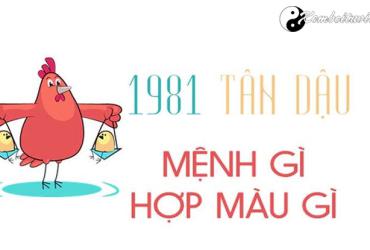 Sinh năm 1981 mệnh gì? Phân tích chi tiết về vận mệnh tuổi Tân Dậu