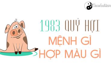 Sinh năm 1983 mệnh gì? Phân tích đầy đủ về người tuổi Quý Hợi