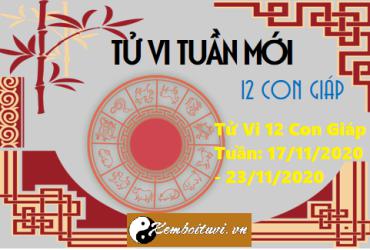 Dự Đoán Tử Vi 12 Con Giáp Tuần: 17/11/2020 - 23/11/2020