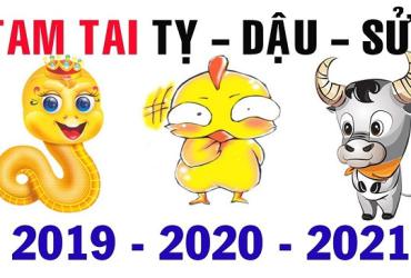 Tuổi Tỵ, Dậu, Sửu Hạn Cuối Tam Tai Cần Lưu Ý Điều Gì