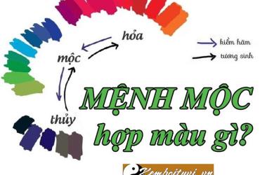 Mệnh Mộc Hợp Màu Gì: Bí Quyết Chọn Màu Sắc Phù Hợp Theo Phong Thủy