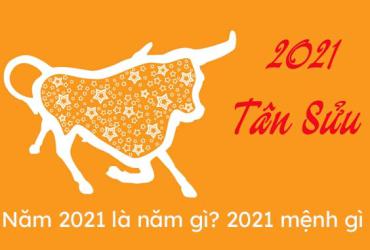 Năm 2021 là năm con gì? Mệnh gì? Mạng gì?