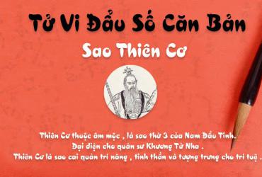 Luận bàn về Sao Thiên Cơ trong số 14 chính tinh
