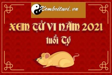 Xem tử vi tuổi Canh Tý năm 2021 nam mạng 1960