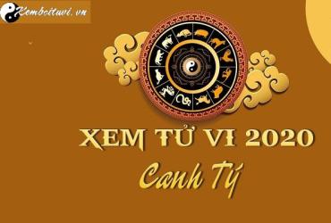 Tử vi 2020 Của 12 Con Giáp - Luận Hung Cát Vận Hạn Năm Canh Tý