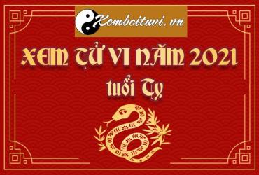 Tổng đoán tử vi năm 2021 Tân Sửu của người tuổi Tỵ