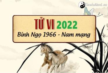 Xem tử vi tuổi Bính Ngọ năm 2022 nam mạng 1966