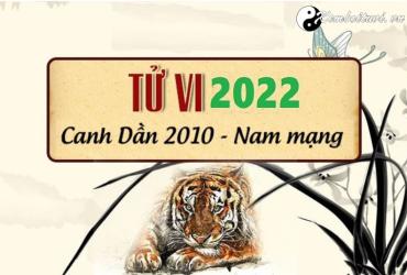 Xem tử vi tuổi Canh Dần năm 2022 nam mạng 2010