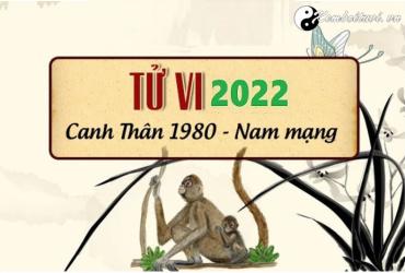 Xem tử vi tuổi Canh Thân năm 2022 nam mạng 1980
