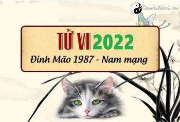Xem tử vi tuổi Đinh Mão năm 2022 nam mạng 1987