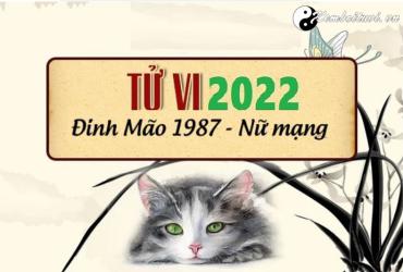 Xem tử vi tuổi Đinh Mão năm 2022 nữ mạng 1987
