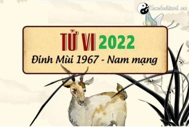 Xem tử vi tuổi Đinh Mùi năm 2022 nam mạng 1967