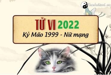 Xem tử vi tuổi Kỷ Mão năm 2022 nữ mạng 1999
