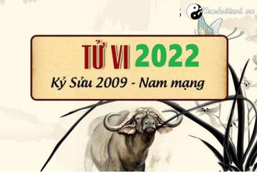 Xem tử vi tuổi Kỷ Sửu năm 2022 nam mạng 2009