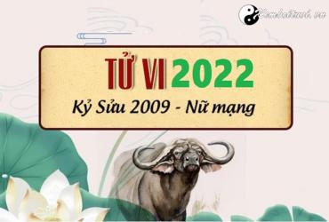 Xem tử vi tuổi Kỷ Sửu năm 2022 nữ mạng 2009
