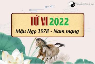 Xem tử vi tuổi Mậu Ngọ năm 2022 nam mạng 1978