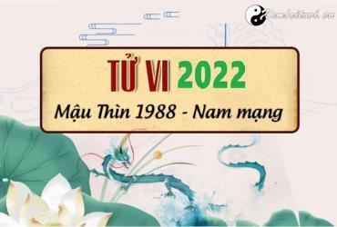 Xem tử vi tuổi Mậu Thìn năm 2022 nam mạng 1988
