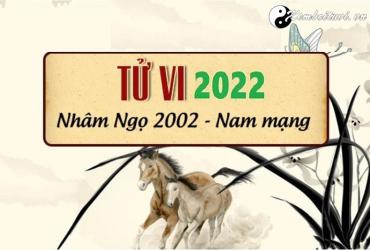 Xem tử vi tuổi Nhâm Ngọ năm 2022 nam mạng 2002