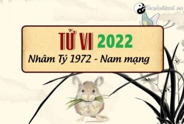 Xem tử vi tuổi Nhâm Tý năm 2022 nam mạng 1972