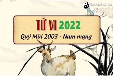 Xem tử vi tuổi Quí Mùi năm 2022 nam mạng 2003