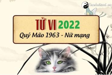 Xem tử vi tuổi Quý Mão năm 2022 nữ mạng 1963
