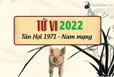 Xem tử vi tuổi Tân Hợi năm 2022 nam mạng 1971