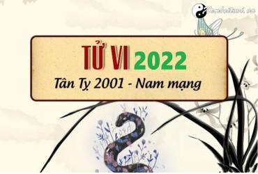 Xem tử vi tuổi Tân Tỵ năm 2022 nam mạng 2001