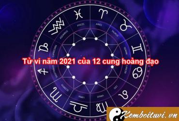 Dự đoán tai họa 12 chòm sao trong năm 2021