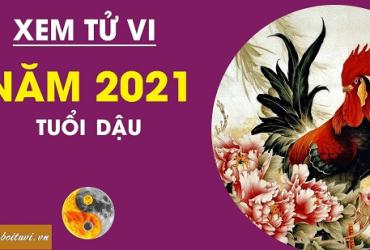 Tổng đoán tử vi năm 2021 Tân Sửu của người tuổi Dậu