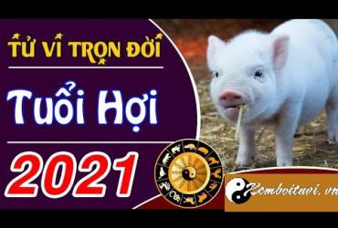 Tổng đoán tử vi năm 2021 Tân Sửu của người tuổi Hợi