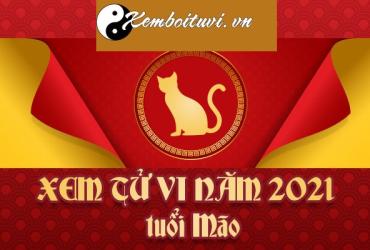 Xem tử vi tuổi Đinh Mão năm 2021 nam mạng 1987