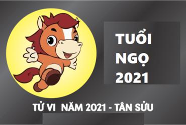 Tổng đoán tử vi năm 2021 Tân Sửu của người tuổi Ngọ