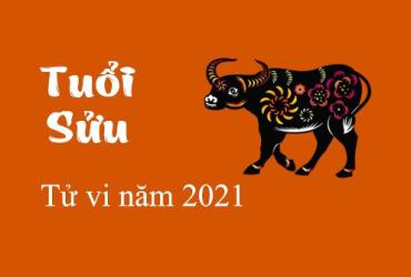 Tổng đoán tử vi năm 2021 Tân Sửu của người tuổi Sửu
