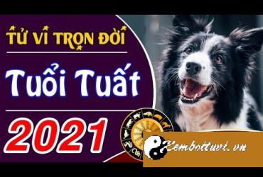 Tổng đoán tử vi năm 2021 Tân Sửu của người tuổi Tuất