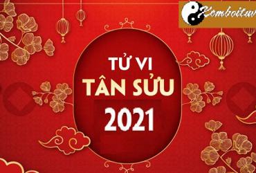 Những điều 12 con giáp cần cải thiện năm 2021