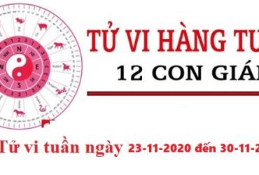 Tử vi tuần mới 25-1 - 31-1 của 12 con giáp