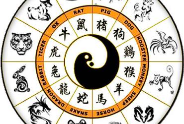 Bí Mật Về Tử Vi Trọn Đời