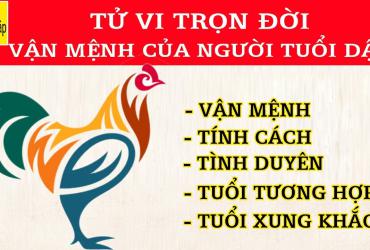 Xem Tử Vi Trọn Đời Người Tuổi  Dậu