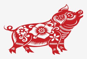 Tuổi Hợi theo ngũ hành Kim, Mộc, Thủy, Hỏa, Thổ