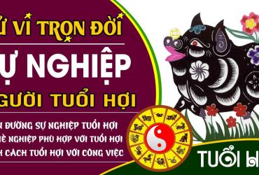Xem Tử Vi Trọn Đời Người Tuổi  Hợi
