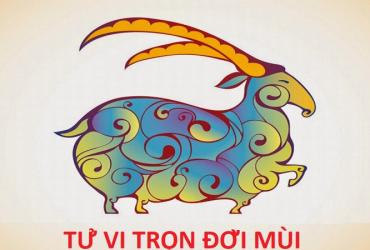 Tuổi Mùi theo ngũ hành Kim, Mộc, Thủy, Hỏa, Thổ