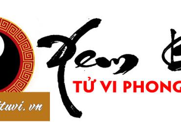 Xem bói tử vi ngày sinh phú quý theo Bát tự