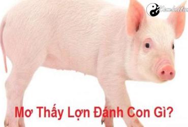 Bật Mí Ý Nghĩa Giấc Mơ Thấy Con Lợn - Điềm Tốt Hay Xấu?