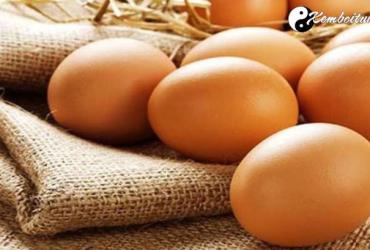 Bật Mí Ý Nghĩa Giấc Mơ Thấy Trứng - Điềm Tốt Hay Xấu?