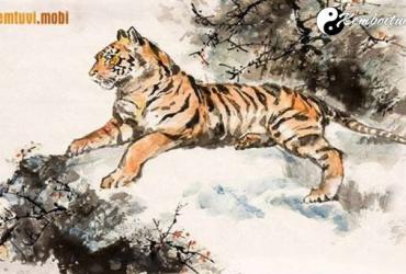 Tuổi Dần hợp với tuổi nào, màu gì, nghề gì, hướng nào theo phong thủy