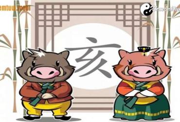 Tuổi Hợi hợp với tuổi nào, màu gì, nghề gì, hướng nào theo phong thủy