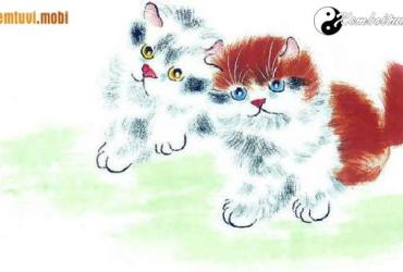 Tuổi Mão hợp với tuổi nào, màu gì, nghề gì, hướng nào theo phong thủy